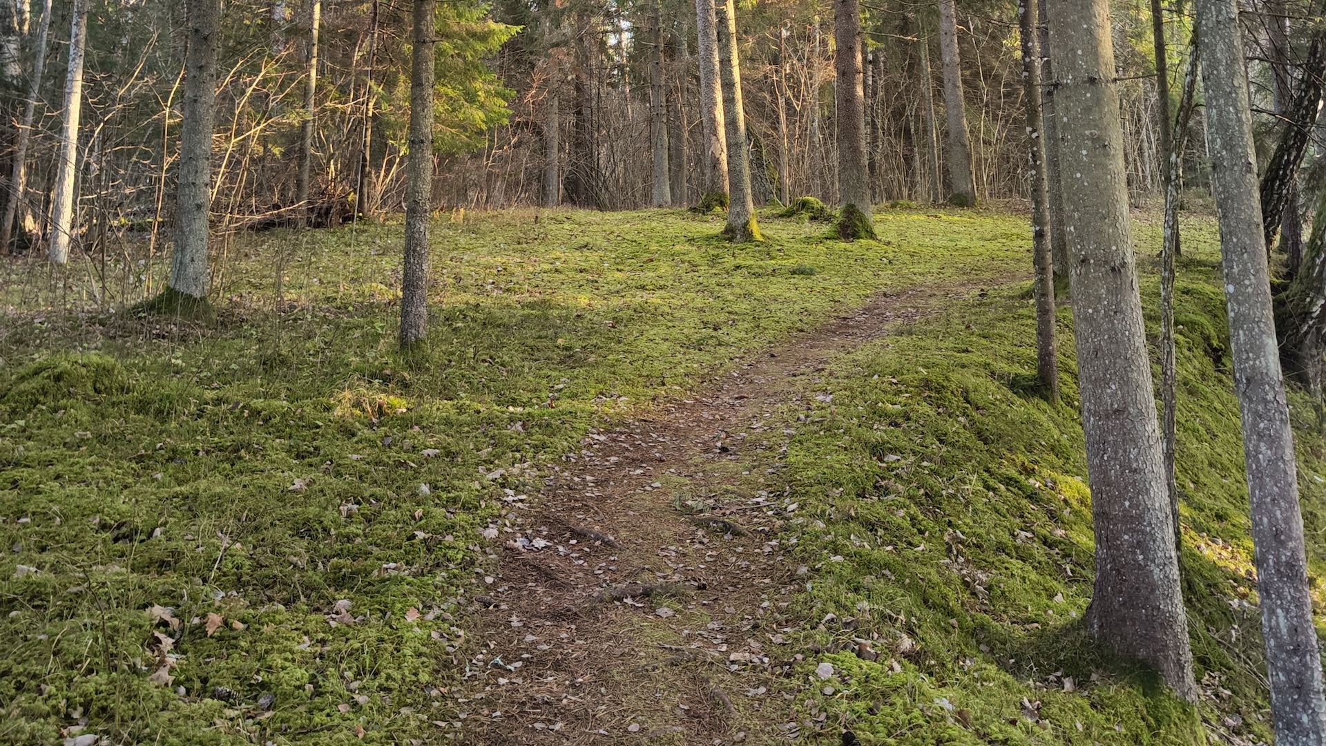 Fona attēls
