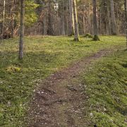 Attēls rakstam Asares Apgāle - Latvijas izaicinājums 2025