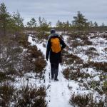 A recap of the January 3 event "The Moss Kingdom of Ķemeri"