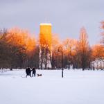 A recap of the January 3 event "The Moss Kingdom of Ķemeri"