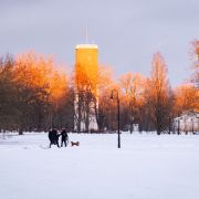 Attēls rakstam Pasākuma "Ķemeru sūnu valstība" atskats