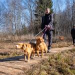 Recap of the event “Amatas sarkano klinšu valstība”