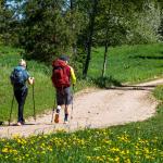 Zebrus Endurance 2026 Recap