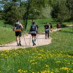 Zebrus Endurance 2026 Recap