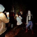 Halloween Twilight Challenge - The Black Pine Story