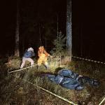 Halloween Twilight Challenge - The Black Pine Story