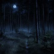 Attēls rakstam Halloween Twilight Challenge - The Black Pine Story